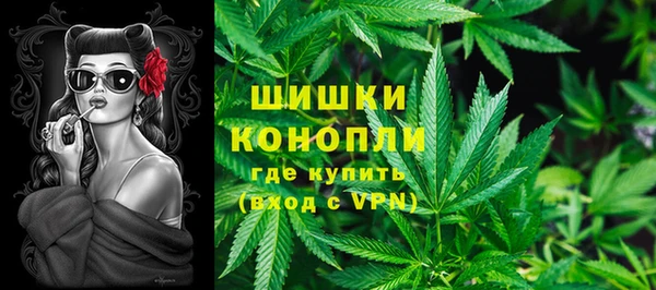ALPHA PVP Горняк